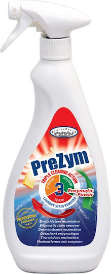 Ready Professionelles Sprühreiniger 1x750ml