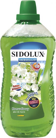 Sidolux 1x1l