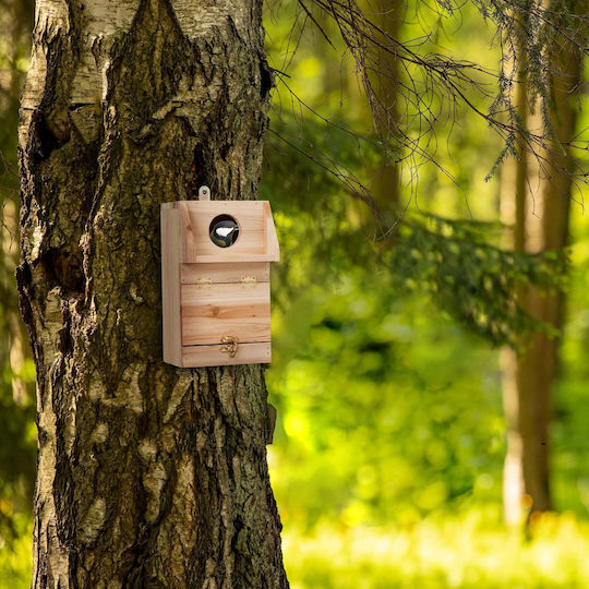 Căsuță Decorativă din Lemn pentru Păsări 24,5 X 14 X 14 Cm Naturală