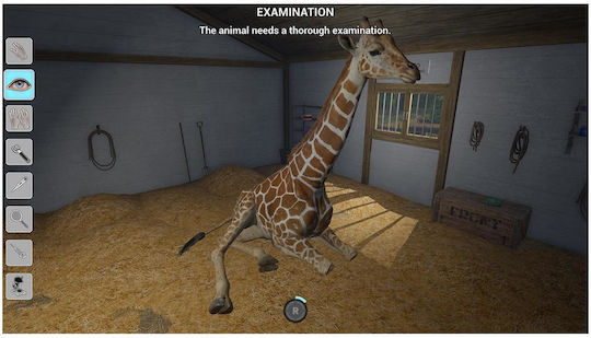My Vet Practice in the Zoo Switch Game