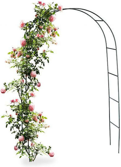 Arcadă Metalică pentru Grădină Flori Cățărătoare Verde Închis 240x140x38 Cm Relaxdays