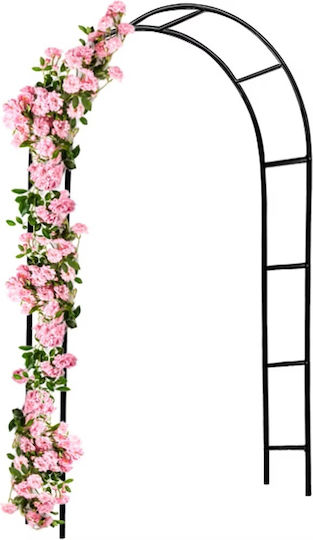Arcadă Metalică de Grădină pentru Flori Cățărătoare 240x140x37cm Arcadă Metalică de Grădină pentru Flori Cățărătoare 240x140x37cm