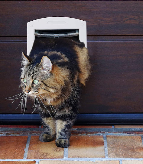Magnetic Cat Dog Flap Small Pets 4-Way White