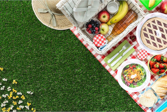 Pop Up Food Cover 2pcs Alpina