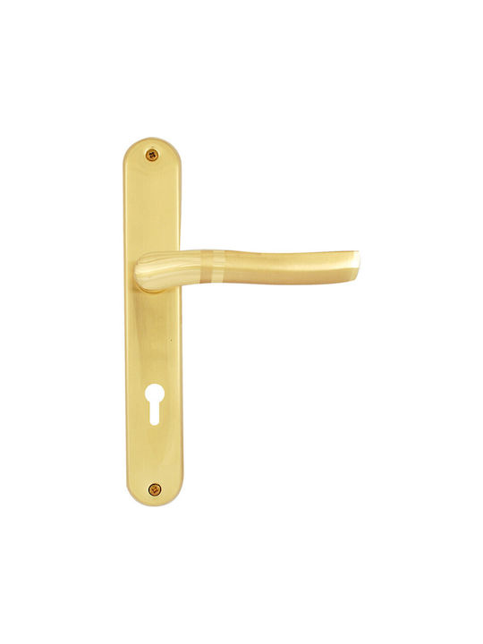 Door Handle Lever Middle Door Plate Right Gold