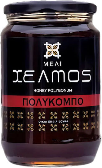Χελμός Μέλι Πολύκομπου 480gr