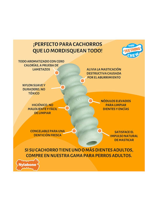 Nylabone Εκπαιδευτικό Παιχνίδι Σκύλου Small Πράσινο Nylabone Εκπαιδευτικό Παιχνίδι Σκύλου Small Πράσινο