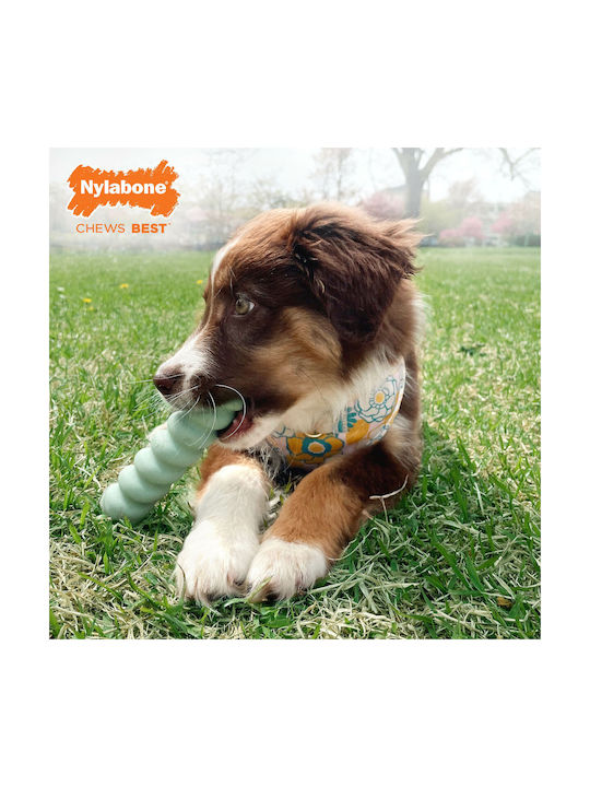 Nylabone Обучителна Игра за Кученце Small Зелен 1бр