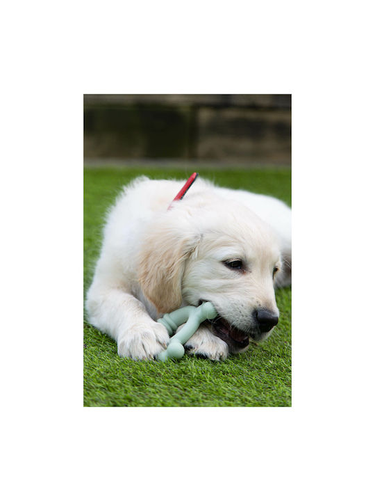 Nylabone Εκπαιδευτικό Παιχνίδι για Κουτάβι Small Πράσινο 1τμχ