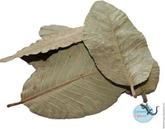 Ceramic Nature Tratament pentru apă de acvariu
