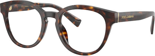Dolce & Gabbana 3421 502
