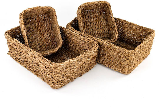 Σετ Διακοσμητικά Καλάθια Rattan με Χερούλια Καφέ 40εκ. 5τμχ