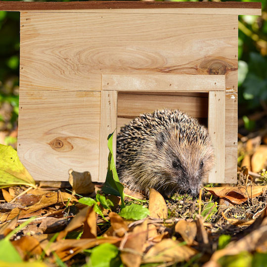 Wooden Hedgehog House 22.5 X 32 X 27 Cm