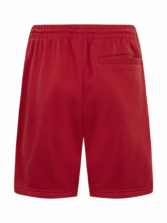 Jordan Kids' Athletic Shorts/Bermudas Jumpman Red 95D951-R78