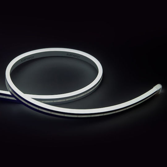 Eurospot Rezistent la apă Bandă LED 24V 5m Neon Flex