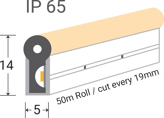Eurospot Αδιάβροχη Ταινία LED 24V Μπλε Φως 5m Neon Flex