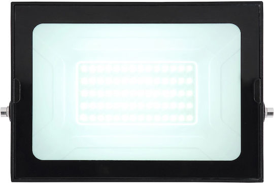 Globo Lighting Waterproof LED Floodlight 50W Cold White 6000K IP65