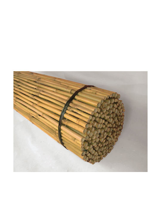 Lianos Bambuszaun mit Ganzes Schilf 1.5x3m