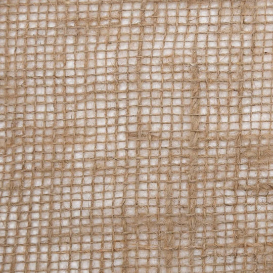 vidaXL 155793 Ground Cover Fabric 200g/m² Beige