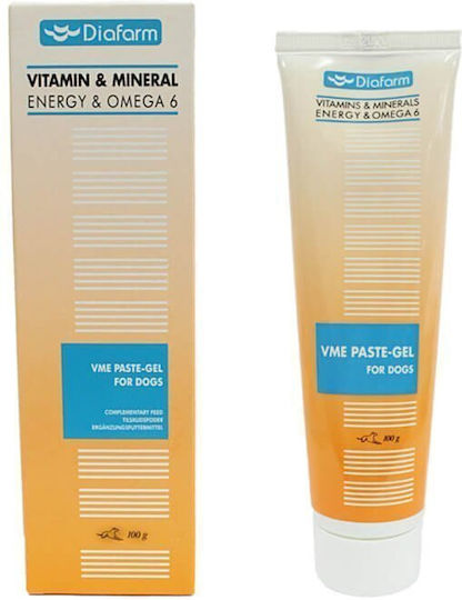 Diafarm VITAMIN MINERAL OMEGA 6 Πολυβιταμίνες Σκύλου σε Πάστα 100gr για Ενίσχυση Οργανισμού