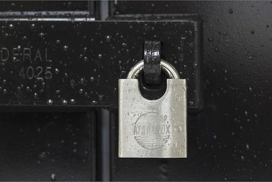 Thirard Steel Padlock Κρυμμένου Λαιμού with Key 60mm 1pcs