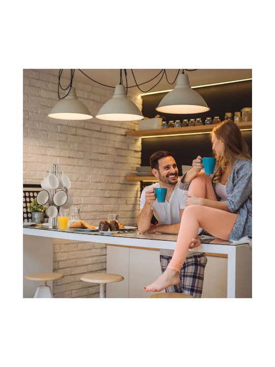 Relaxdays Cupa ei Metal Gri 4052025307066