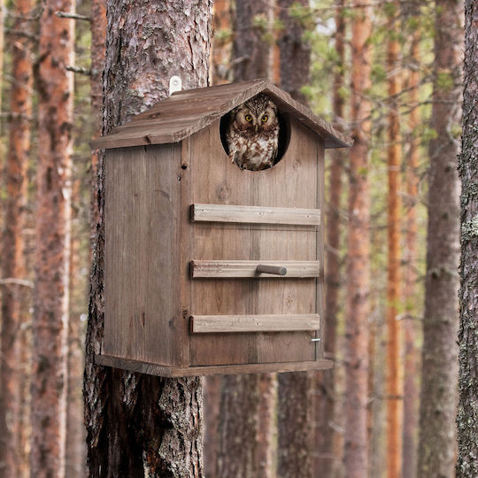 Dekoratives Holz-Vogelhaus 38,5 x 25 x 28 cm Dunkelbraun