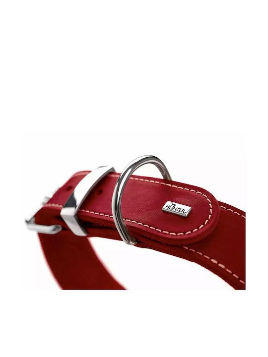 Hunter Aalborg Speziallederhalsband 35 Xs-s Braun