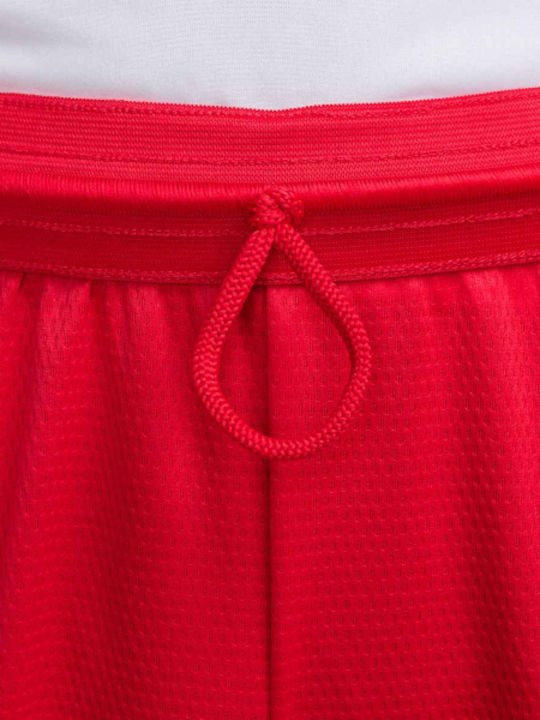 Sports Men's Shorts Dri-FIT Red