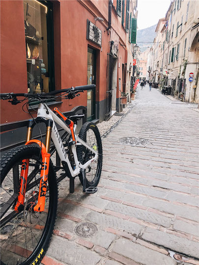 Kryptonite Evolution 790 Bicycle Lock