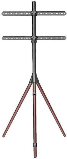 Focus Mount TT164 Wall TV Mount up to 40kg