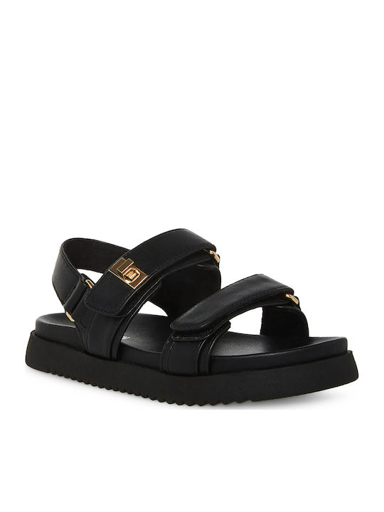 Steve Madden
