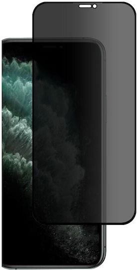 Hofi Pro+ Privacy Full Face Tempered Glass Μαύρο (iPhone X / XS)