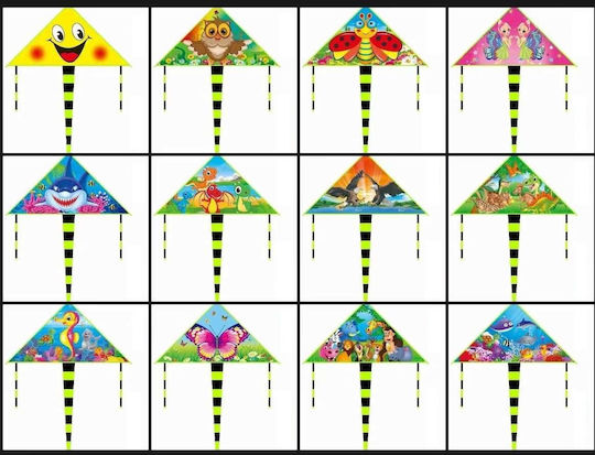 Triangular Kite with Tail 115x175cm 1pcs