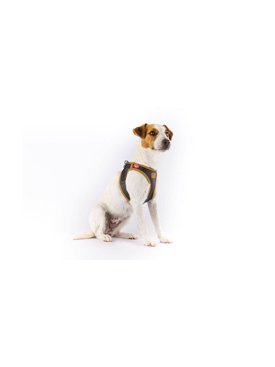 Curli Hundegeschirr Leder Braun X-klein PN3117