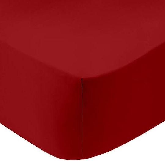 Sunshine Sheet Super-Double with Elastic 160x200+30cm. Cotton Feelings 151 113 Red