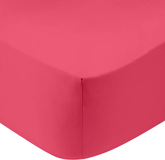 Sunshine Cotton Feelings 151 Σεντόνι King Size με Λάστιχο 180x200+30εκ. Fuchsia