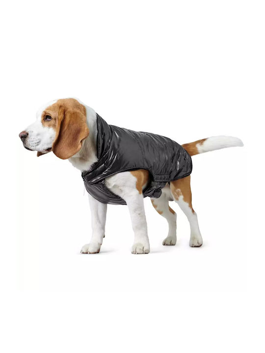 Hunter Black Dog Coat with 45cm Back Length