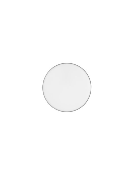 Trio Lighting Ceiling Mount Light Gray