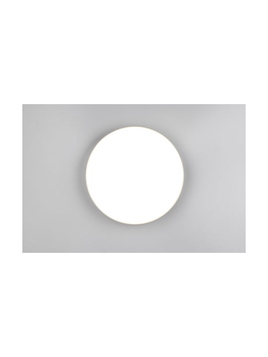 Trio Lighting Ceiling Mount Light Gray