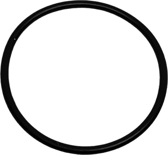 O-ring Oil Cap Piaggio Beverly Genuine