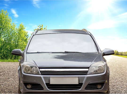 ArteLibre Protecție Exterioară Parbriz Auto 160x95 cm