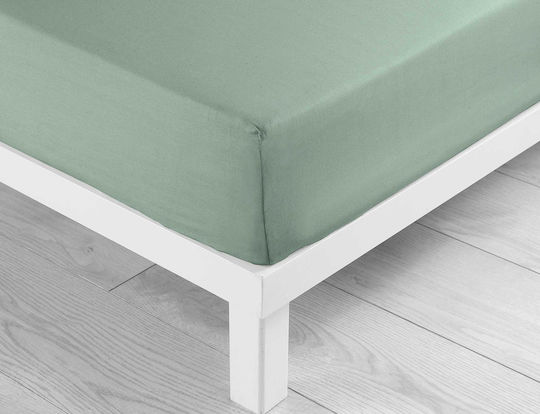 Sheet Super-Double with Elastic 160x200+30cm. L-c Lina Sage