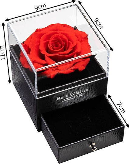 Eternal Rose Red 7cm in Box