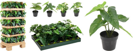 Artificial Potted Plant Koopman