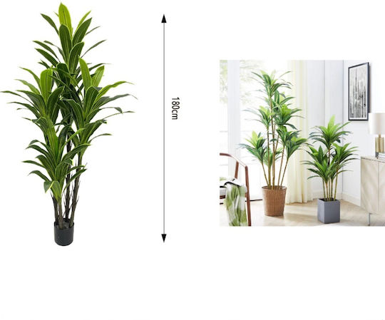 Arbore Artificial de Exterior Dracaena 4 Tulpini Green 180cm My Home Luxury