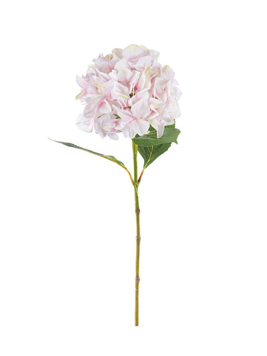  JK Home Decoration
