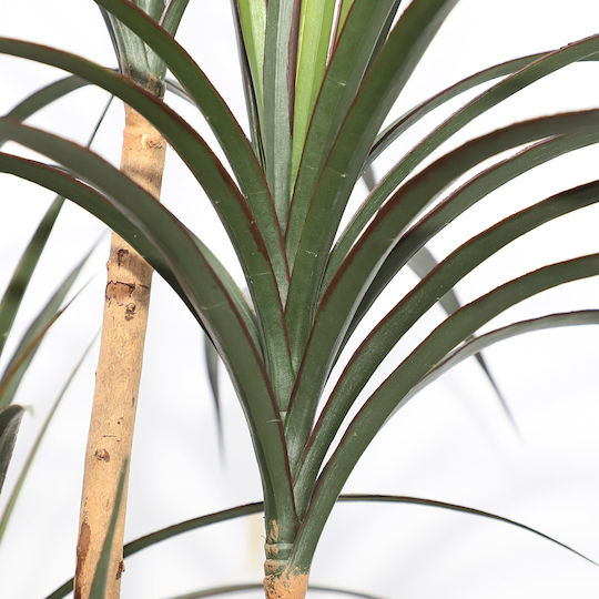 Arbore Artificial de Exterior Dracaena Brown 180cm Newplan