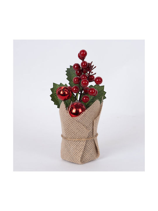 Display Box Γλαστρακι Κοκκινη Μπαλιτσα Κοκκινα Berries 12tmx 20cm Display Box Γλαστρακι Κοκκινη Μπαλιτσα Κοκκινα Berries 12tmx 20cm