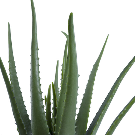 Artificial Plant in Pot Aloe Green 50cm GloboStar